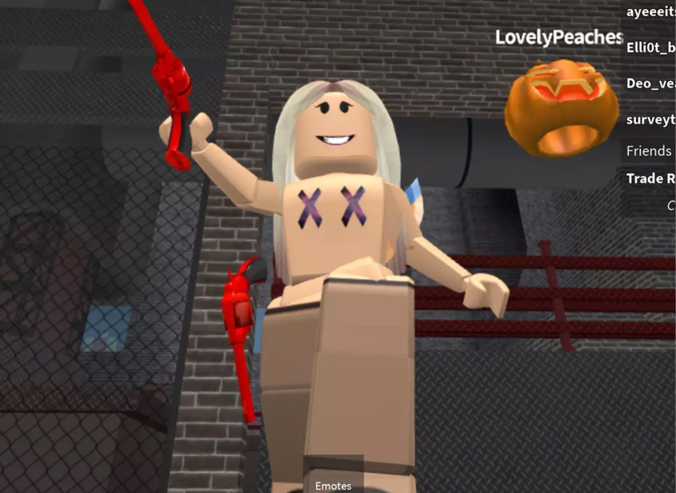 Кадр из игры Roblox